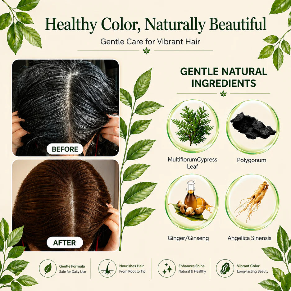 DEXE Herbal Hair Dye Comb Instant Color Shampoo  200 ml