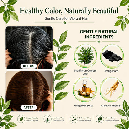DEXE Herbal Hair Dye Comb Instant Color Shampoo  200 ml